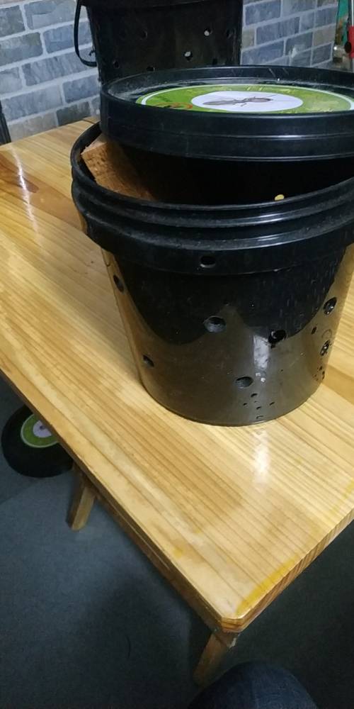 白蚁诱杀器诱白蚁装置诱杀装置南昌洁鹏白蚁防治提供批发零售