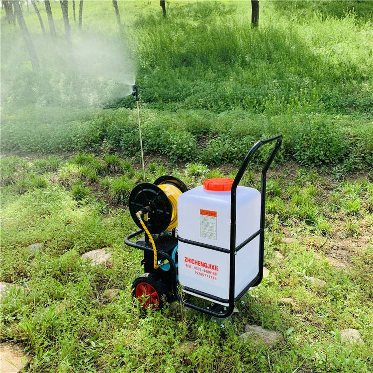 电动打药机厂家蔬菜大棚杀虫打药机户外消杀用喷雾器旭阳机械
