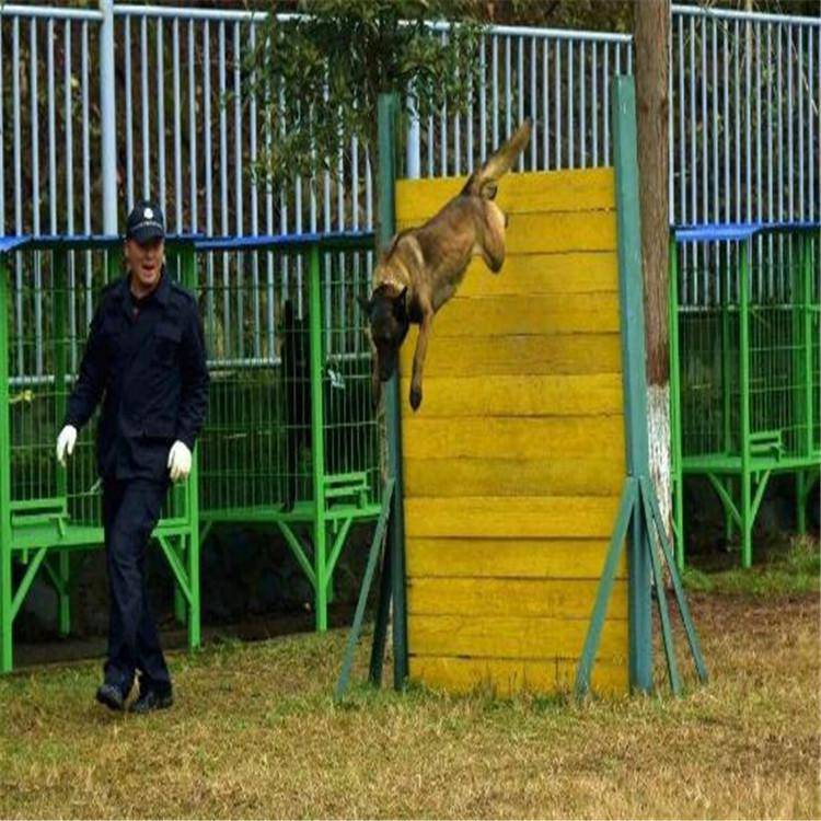 石家庄 警犬障碍训练器材 训练场障碍赛器材 阶梯