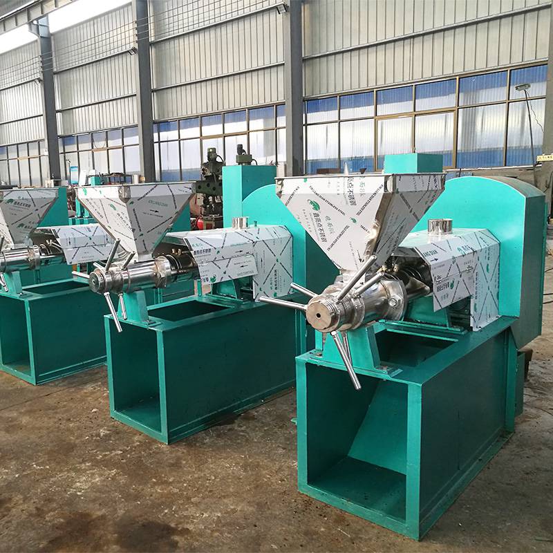 河南洛阳市商用全自动大豆榨油机厂家销售