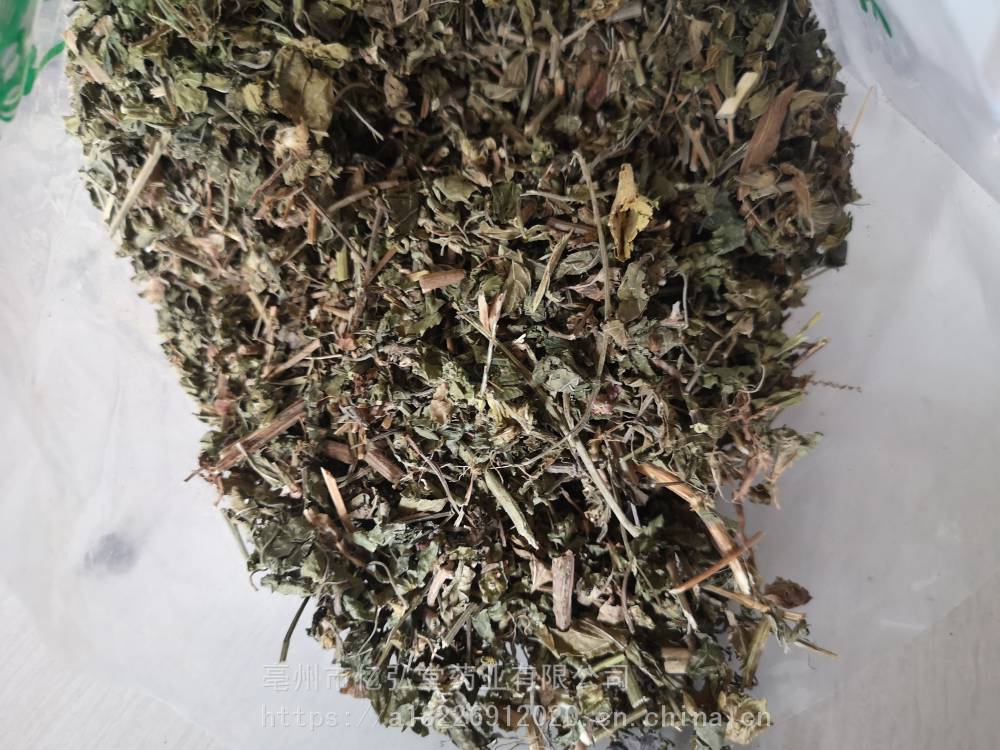 铁苋菜的功效与作用当年货海蚌含珠价格