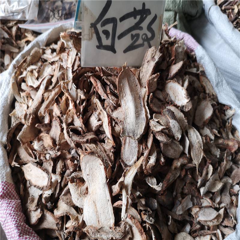 白蔹价格多少一公斤白蔹批发