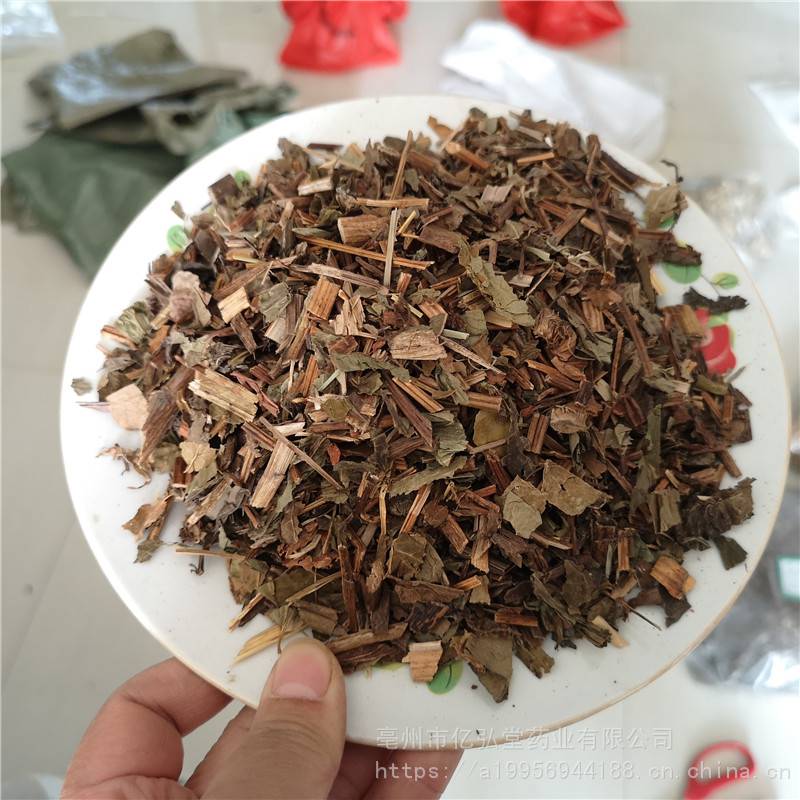 中药材天性草哪里购买便宜三白草价格天性草多少钱一公斤