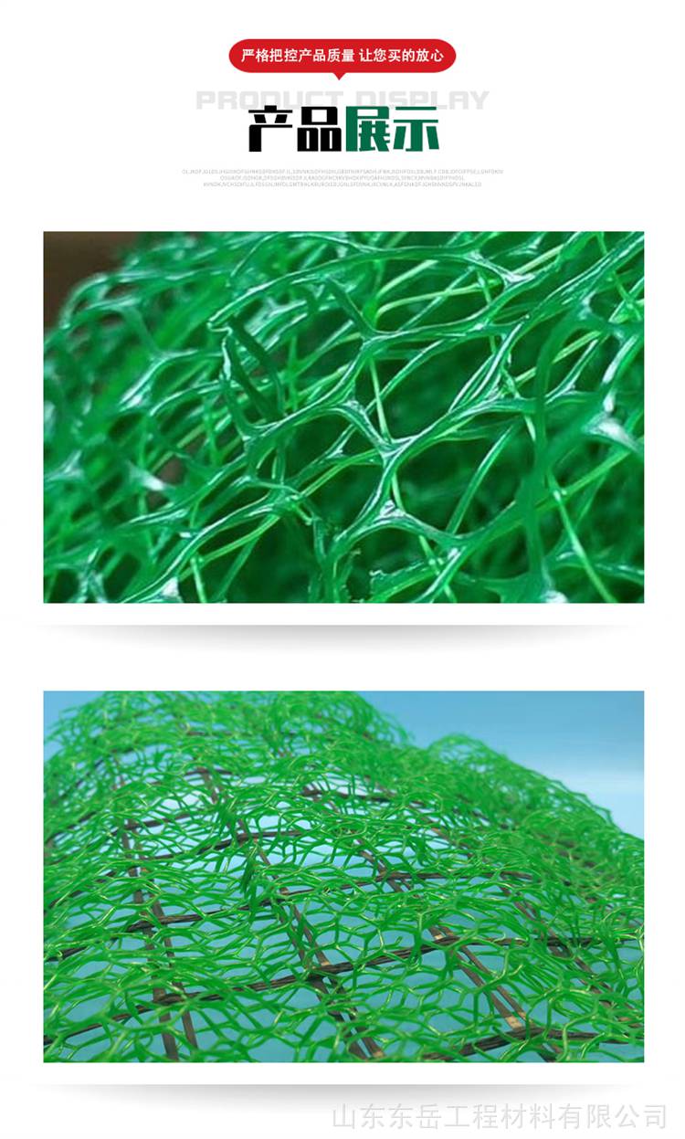 湖州加筋三维植被网山坡绿化河道治理铁路高速公路三维网植草护坡