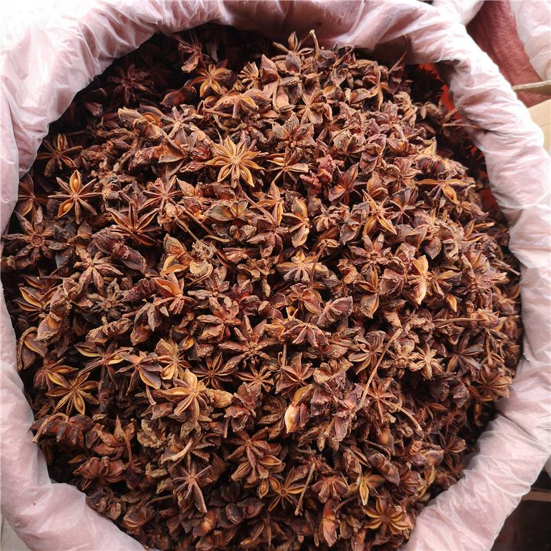 中药八角茴香功效与作用八角市场批发价格多少钱一斤图片
