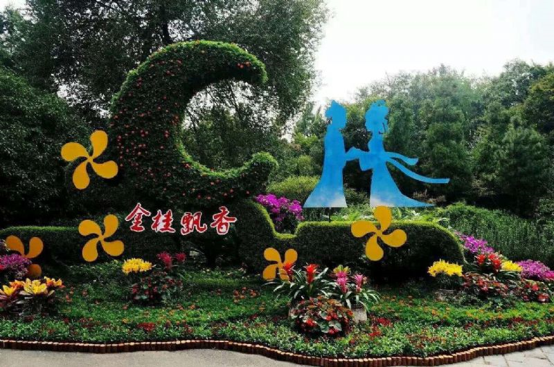 陕西宝鸡大型节庆主题造型绿雕真植物绿雕生产厂家