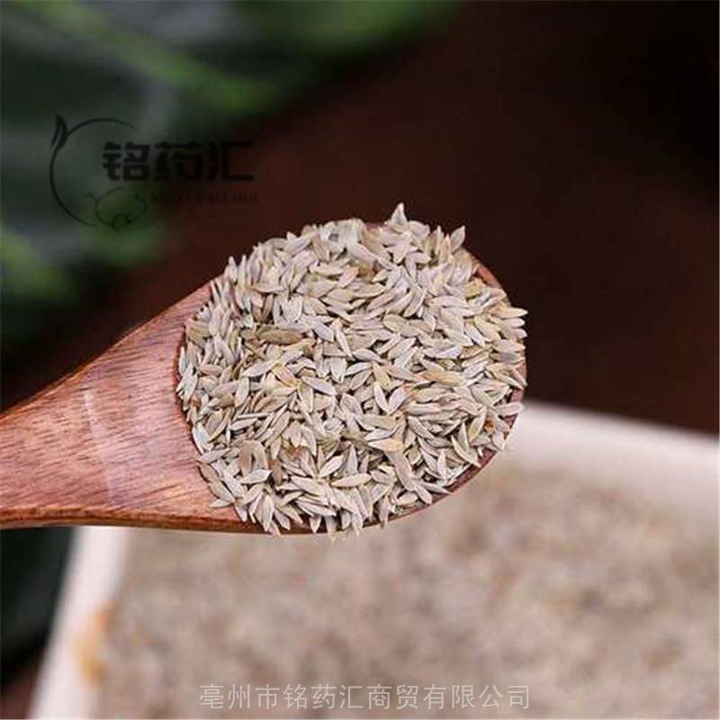 中药材白莴苣子黑莴苣子白生菜籽苣蕂子白苣子生菜子