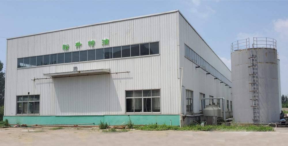 山东动物油品牌大全