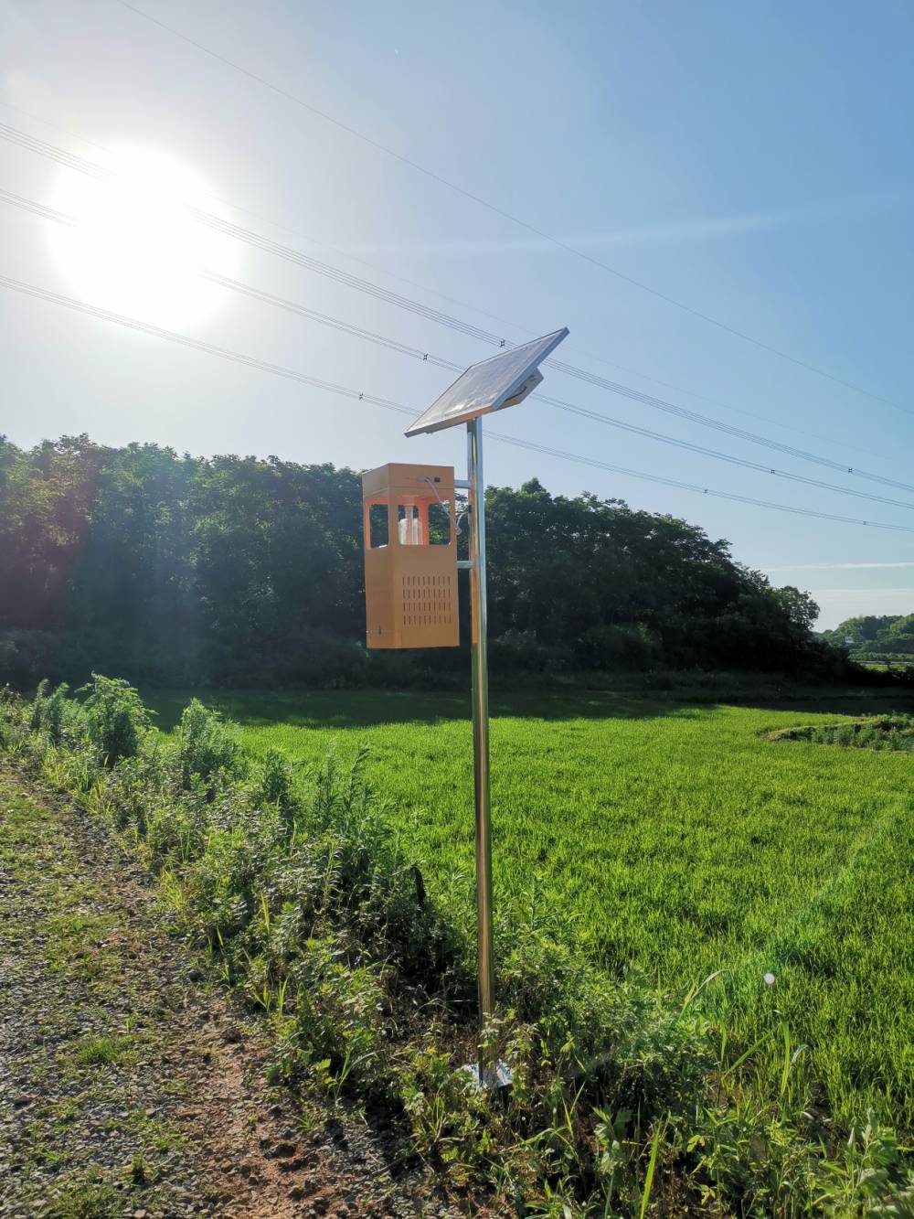 凉山布拖太阳能杀虫灯厂家-，各类户外灯具定制批发厂家