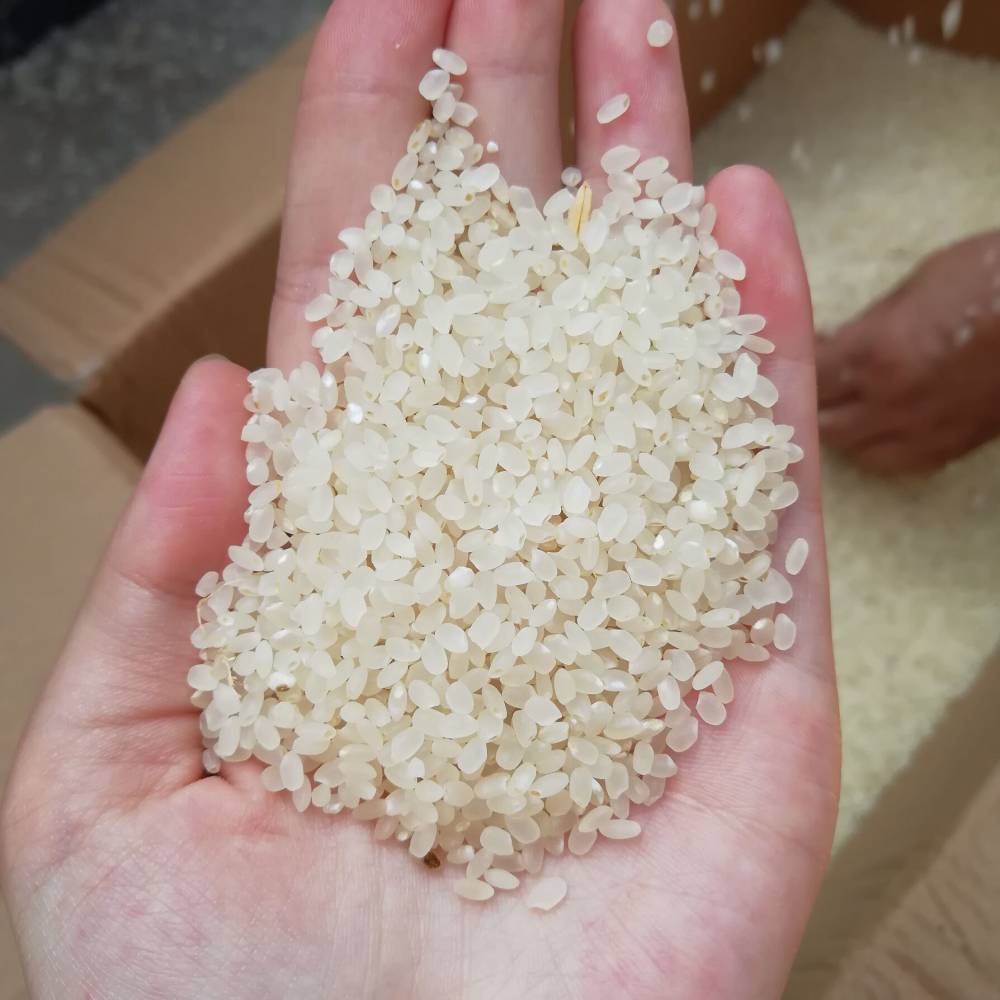 家庭用小型水稻脱皮机柴油款谷子碾米机家用型粮食碾米机