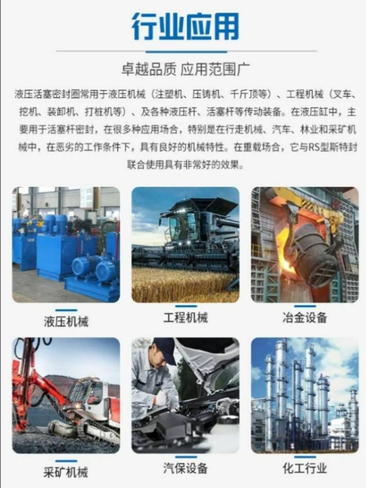 双向液压活塞组合密封圈SPGW内容1