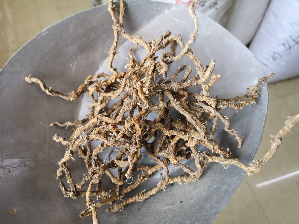 飞天蜈蚣根飞天蜈蚣根批发