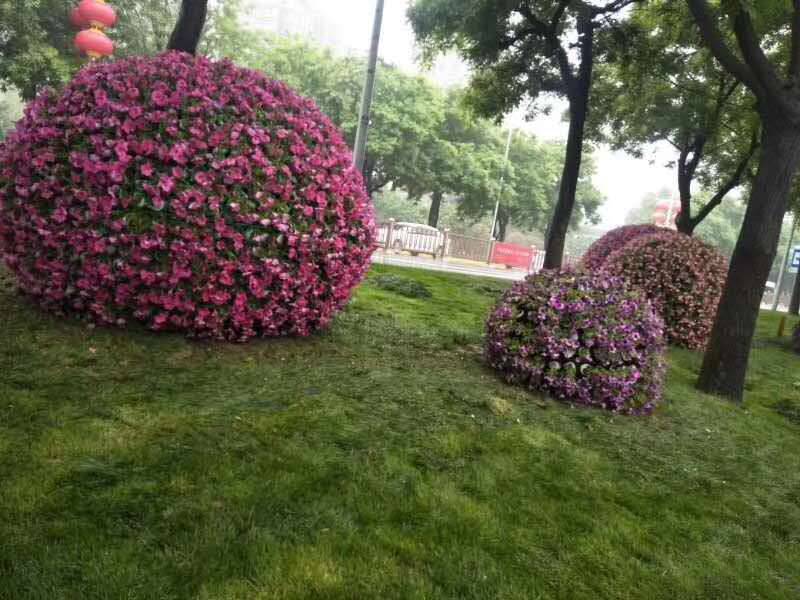 陕西西安创意动植物真植物造型绿雕郫都区仿真绿雕制作