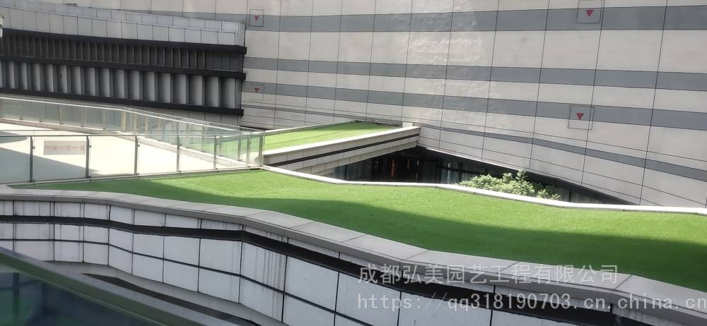 假草坪哪个厂家好一点