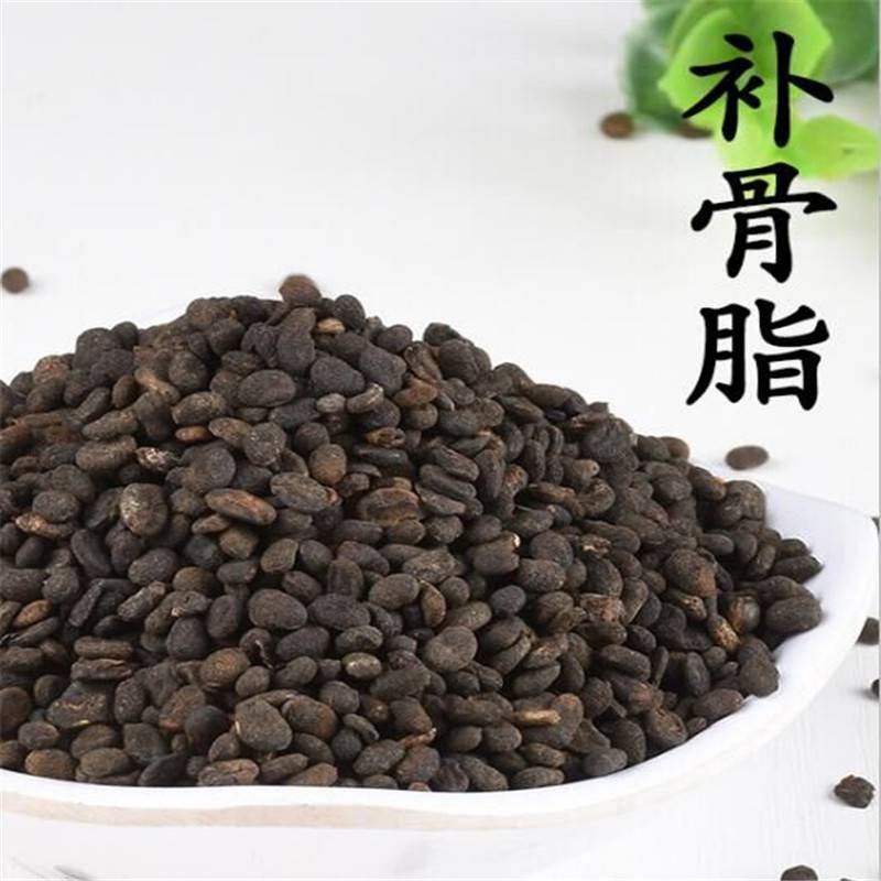 杜仲破故纸小茴香猪腰图片