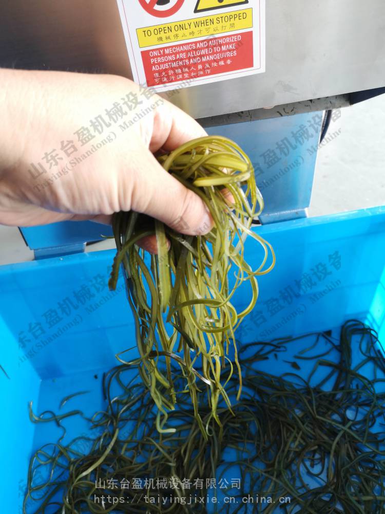 台湾原机海带切丝机裙带菜切丝机切海带丝机