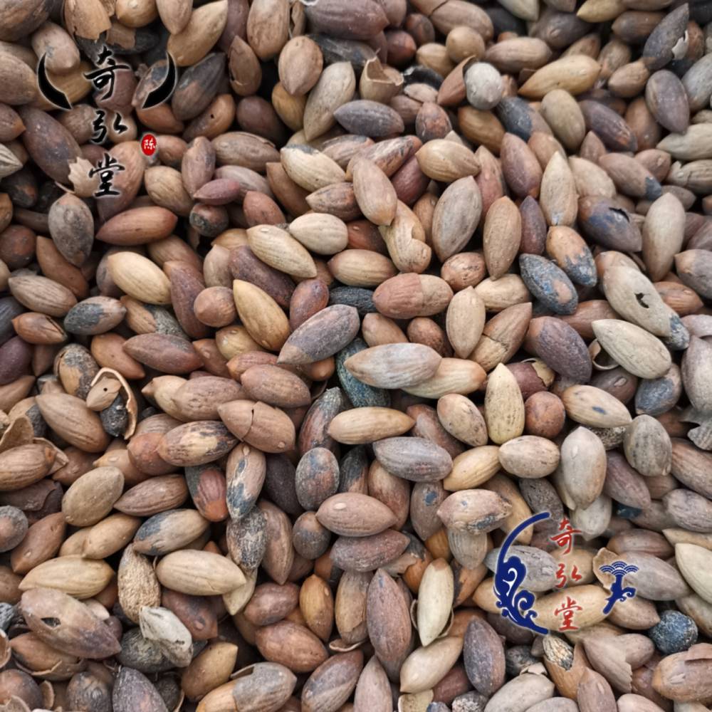 中药材榧子香榧玉榧多少钱一斤