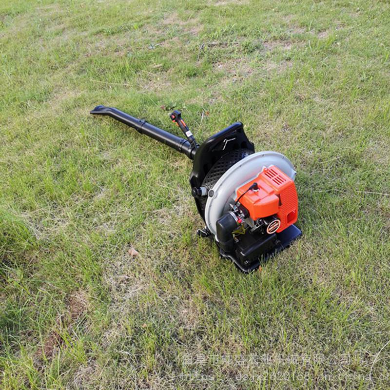 大功率吹吸树叶机汕头市手提式树叶清理机户外作业二冲程吹风机