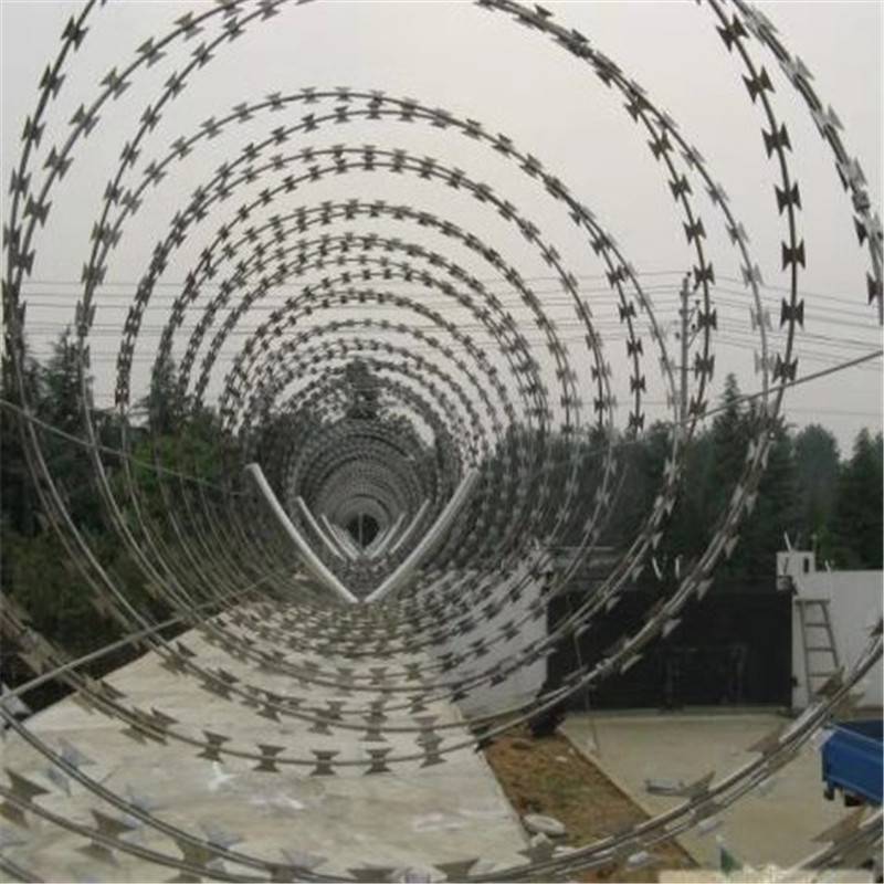 云南358密纹隔离网地界线围栏网不锈钢滚倒刺网