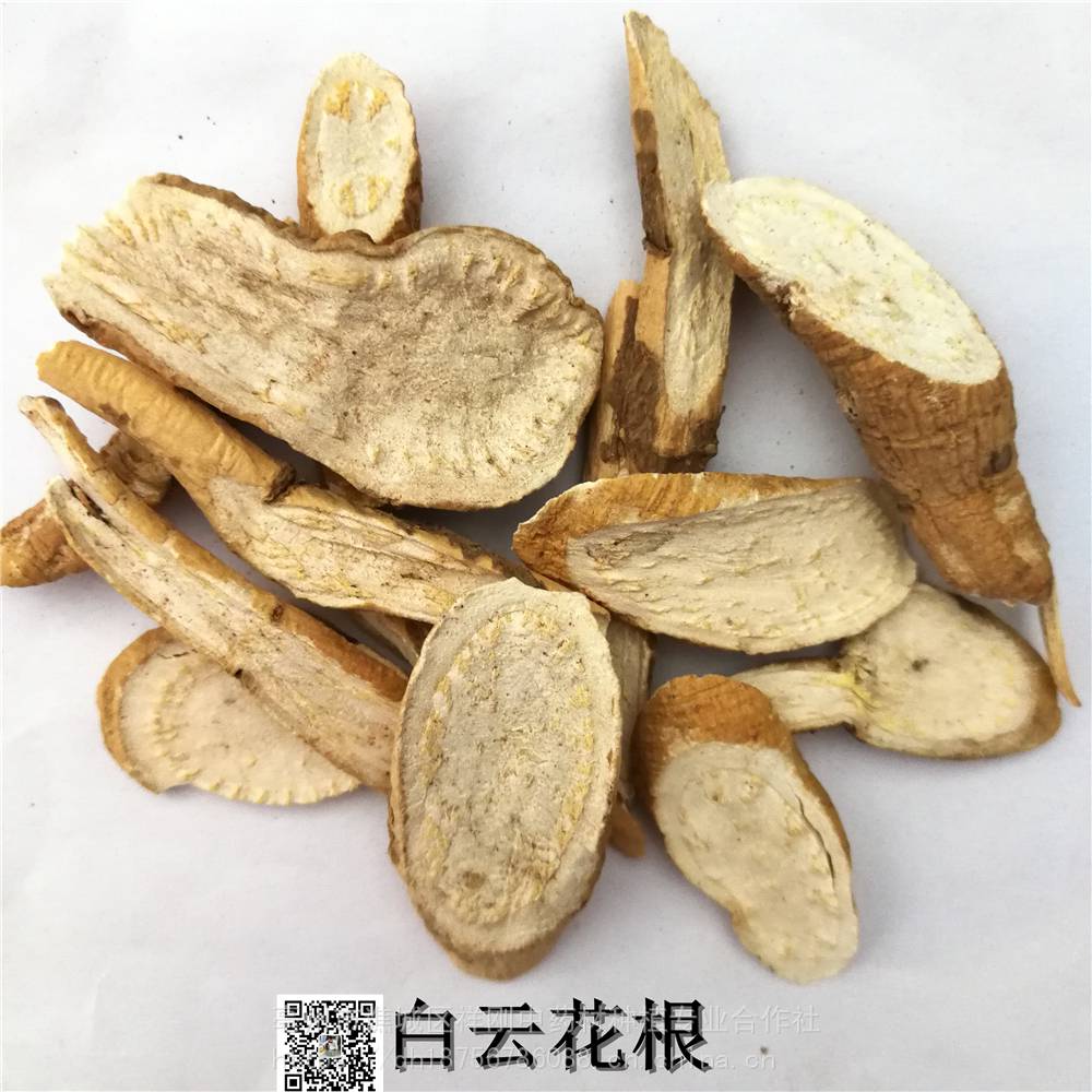 中药白云花根功效作用白云花法罗海毛爪参滇独活香白芷恙活骨恙活鹤庆