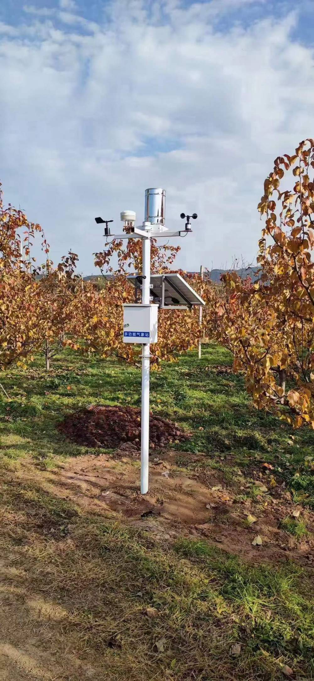 检测仪器>在线监测仪>吉林农业科技化气象观测站农田环境温度叶绿素