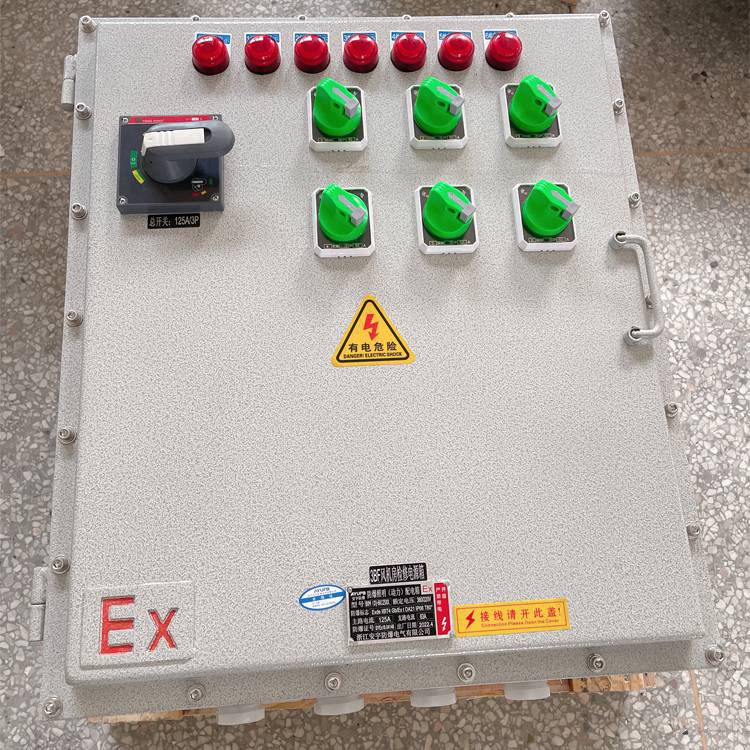 防爆应急照明箱BXM(D)51-5K63A总开关-分支电流 16A