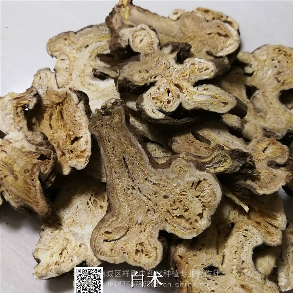 【炒白朮的功效與作用-當年貨浙白朮價格】價格_廠家 - 中國供應商