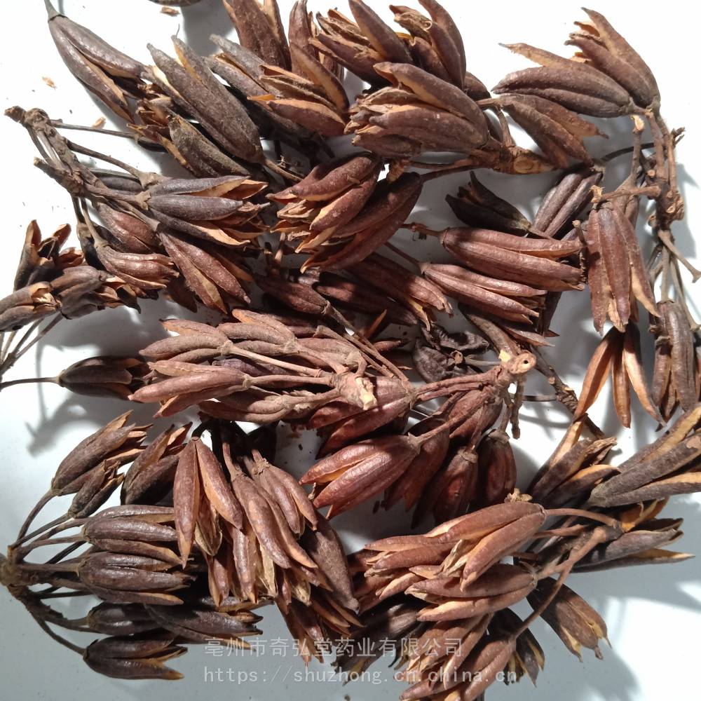 三钱三价格三钱三哪里买得到