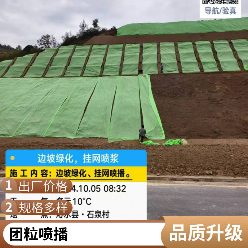 边坡防护施工队 客土喷播植草护坡 高速公路绿化公 司 山坡复绿工程