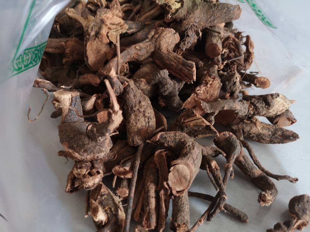 中药材大红袍根图片大红袍功能主治大红袍药用价值