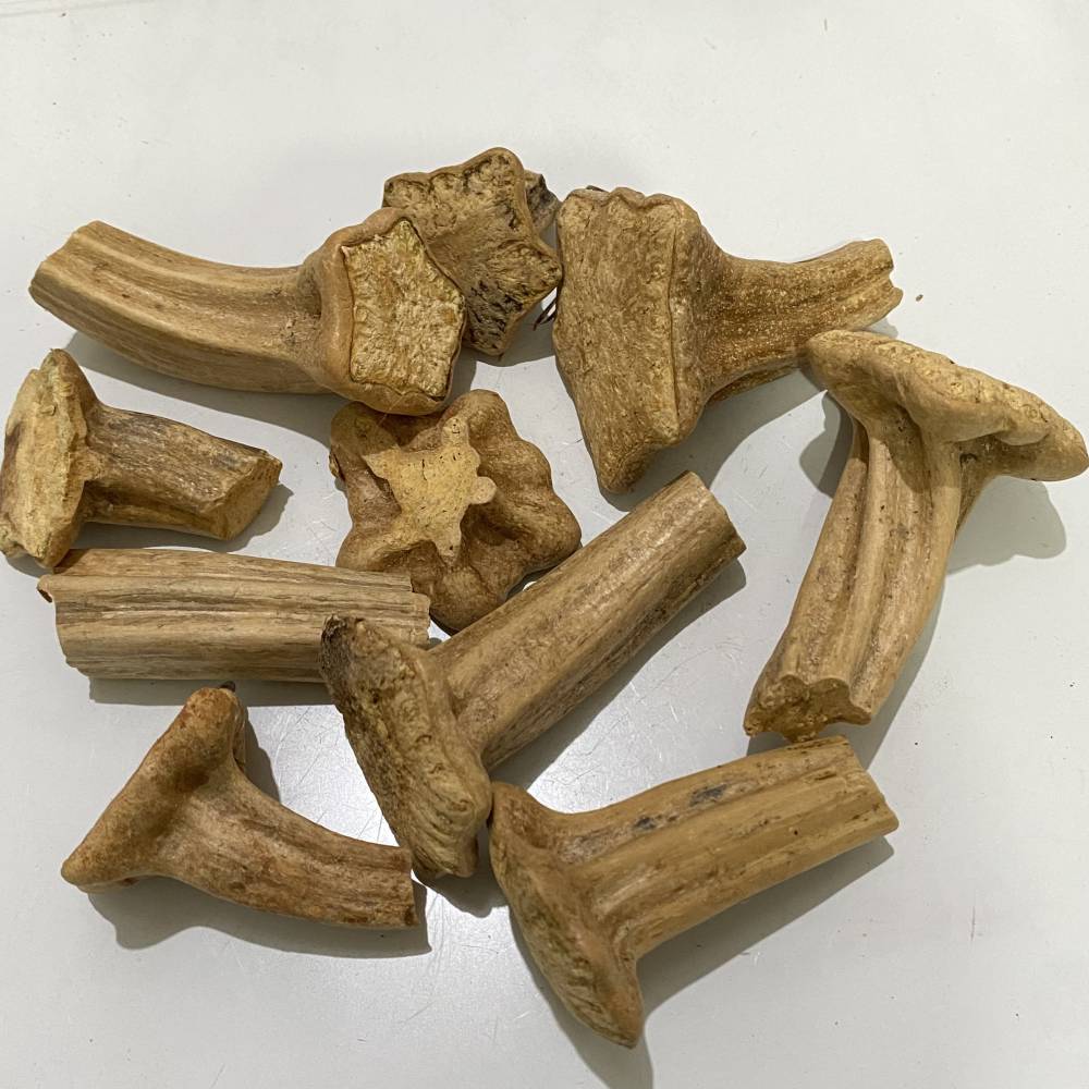 中药材南瓜蒂南瓜蒂市场售价咨询