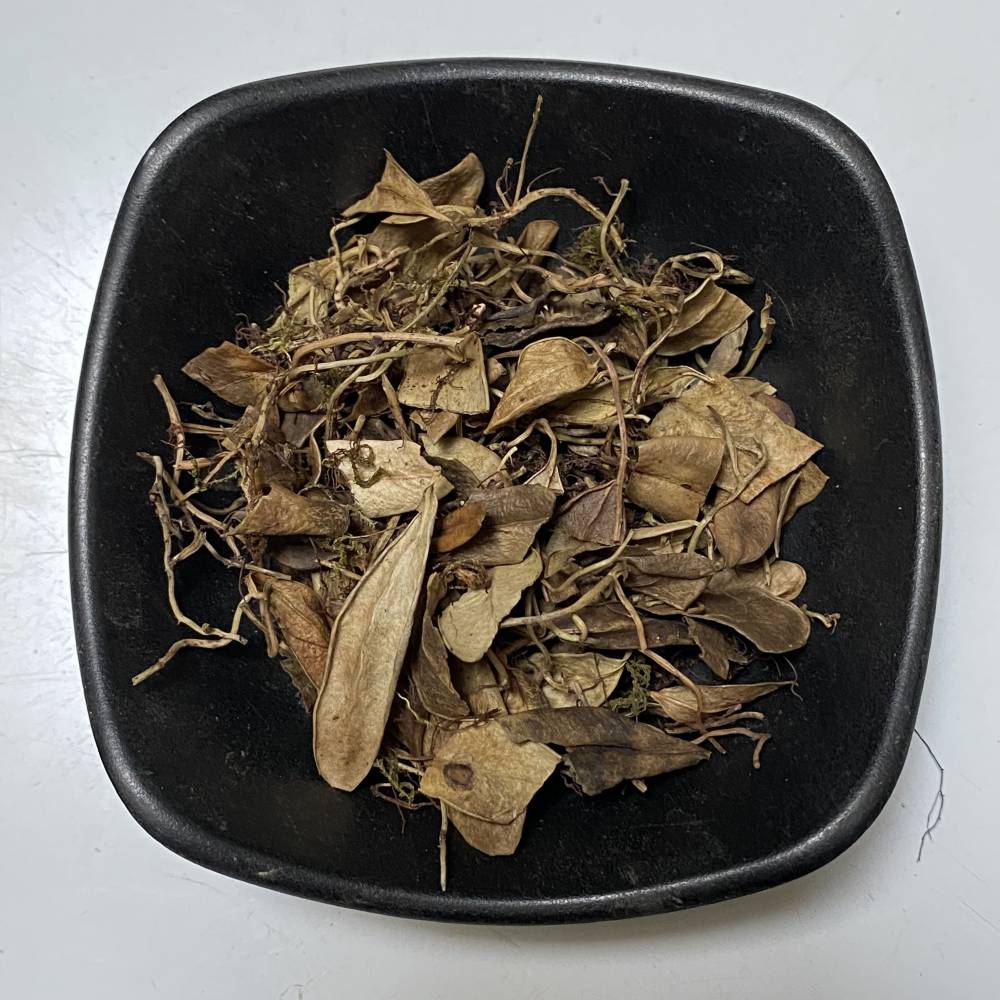 中药材抱石莲抱石莲市场售价咨询图片