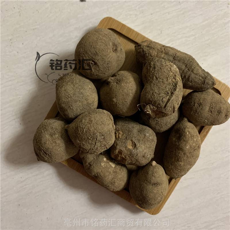 野生金线吊葫芦供应中药材丝线吊金钟