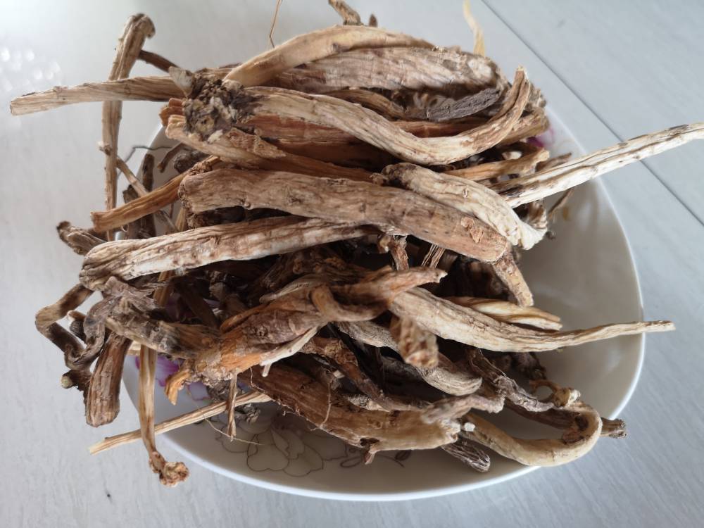 金铁锁药用有什么价值独钉子哪里可以购买到多少钱一公斤