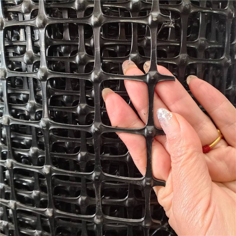 供应圈玉米架子塑料网3厘米孔塑料防护网