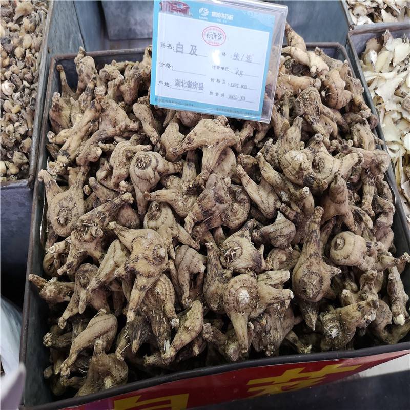 中药白芨的功效正宗白芨批发价格图片