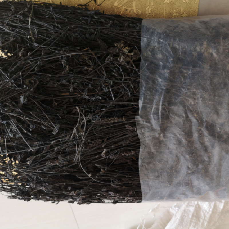 中药材马草功效与作用烂衣草黑马草狗尾草皱叶狗尾草马马草