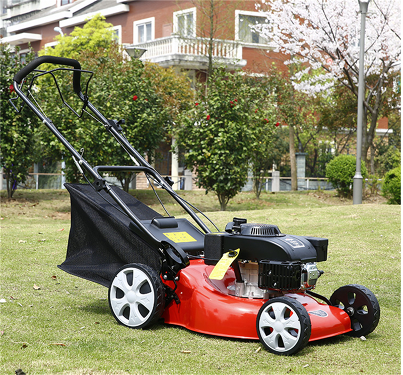 圣通机械汽油草坪机植被修整绿化打草机