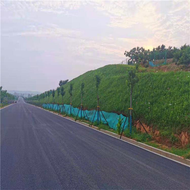 水利大坝用 精选原材料 支持定制 草籽喷播绿化山体