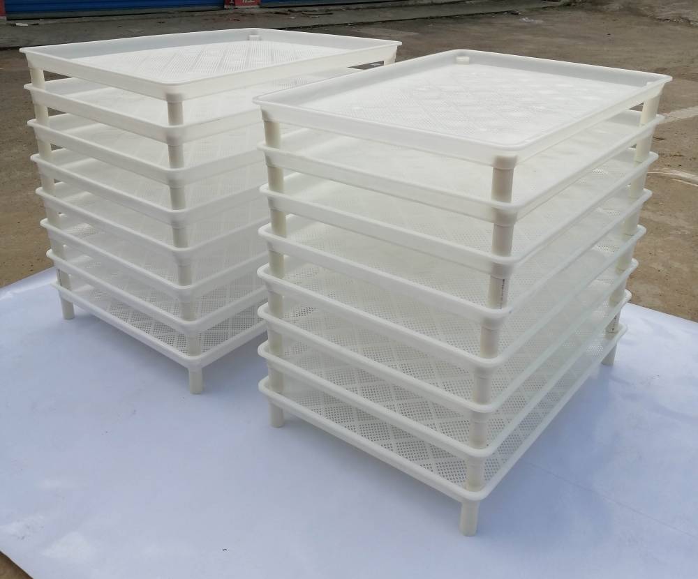 养蚕用具蚕具蚕箔共育盒蚕匾塑料蚕箔饲养筐小蚕共育盒大蚕饲养盒