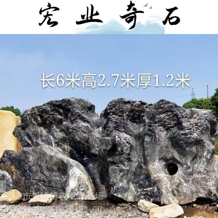 太湖石20 黄 太湖石20 差し込も 黄
