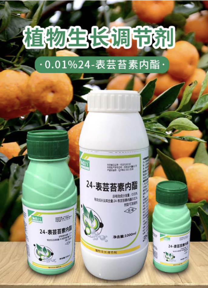 施嘉力00124表芸苔素内酯100毫升