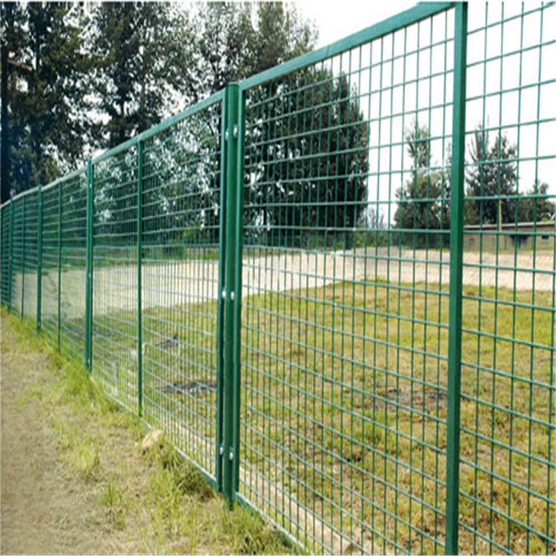 触觉花园、艺术家同享工坊……通州57座公园推动“无界”建造累计拆围252528米