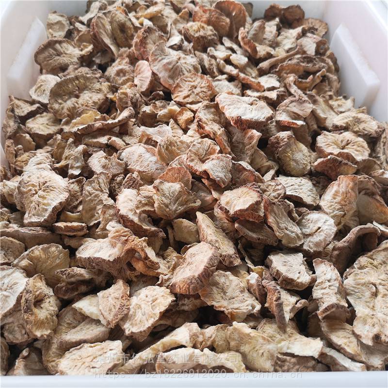 正宗菊苣根产地菊苣根品质可靠