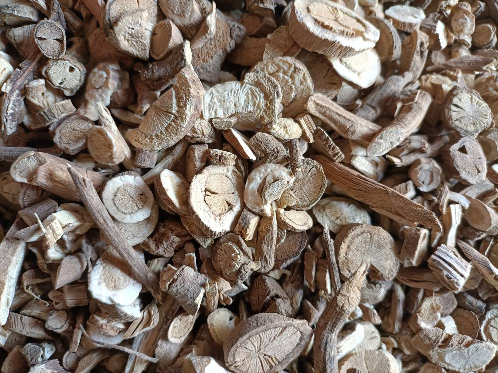 供应中药材独行千里独行千里有卖