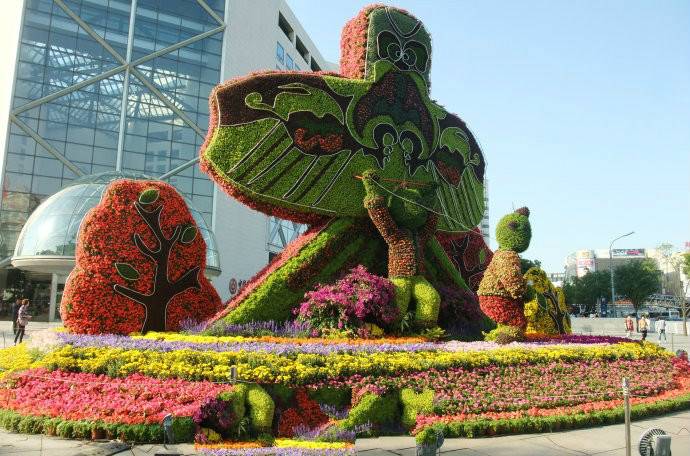陕西延安菊花造型摆件真植物绿雕生产厂家