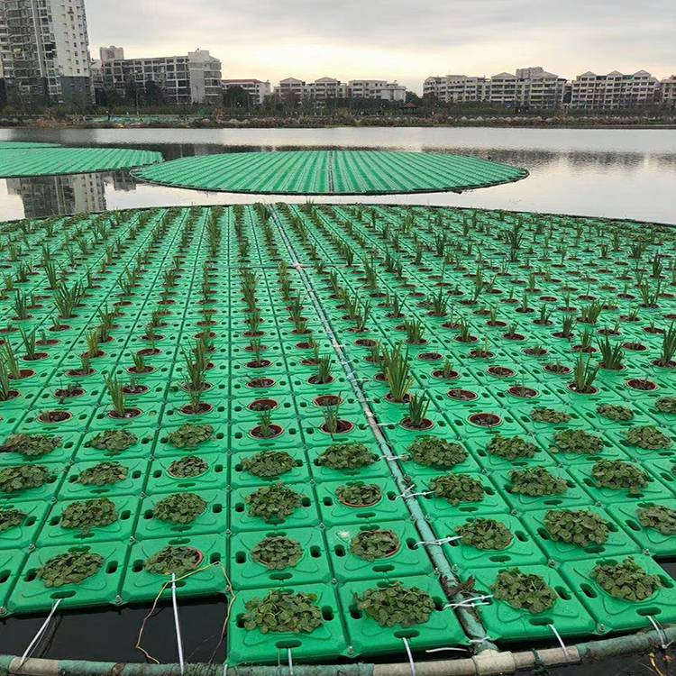 水培植物浮床安装便捷拼接绿色河道净化浮岛辉门