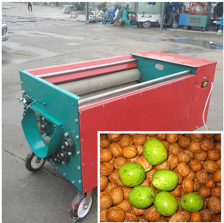 鲜核桃剥壳清洗一体机山核桃脱壳机青核桃去皮机