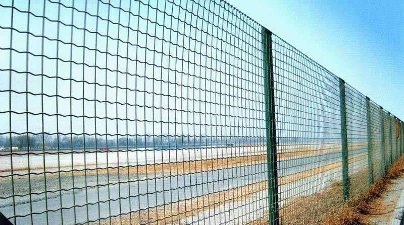 铁丝护栏网又称：钢丝护栏网 铁丝护栏网的厂家