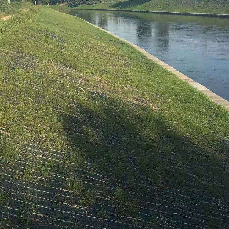生态草毯绿化植被毯植生毯土工布